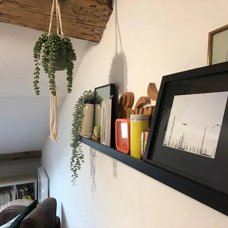 Le Boho / Rent4night *