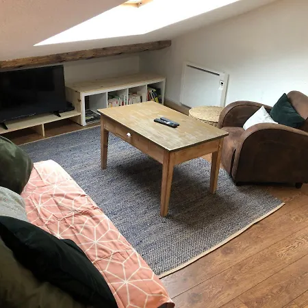Le Boho / Rent4night Apartment Grenoble
